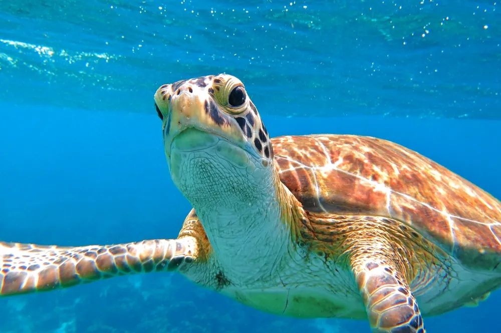 Best Places to Visit in April: Aruba