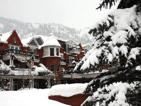 Snow-covered pine tree branches framing a large red brick winter resort with white balconies.