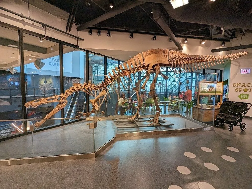 Chicago Children's Museum Dinosaur