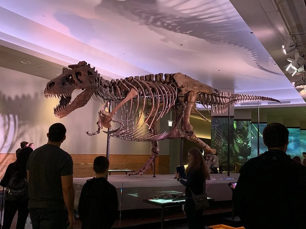 Visit Field Museum Dinosaur Exhibit in Chicago with Kids
