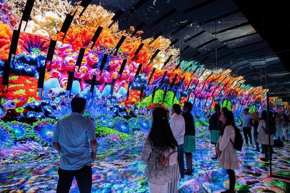 Griffin Museum The Blue Paradox Exibit