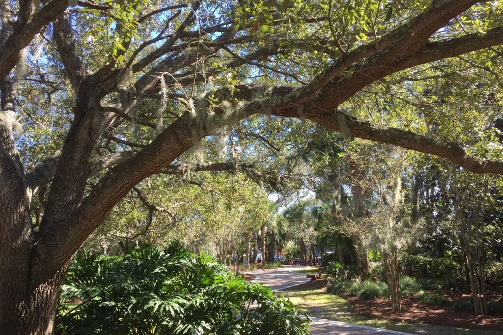Hilton Head Biking Trail