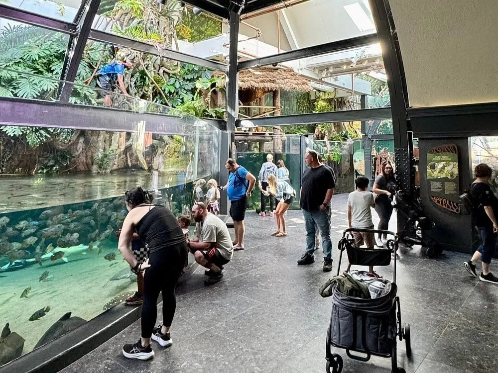 Shedd Aquarium Family Looking at Tank