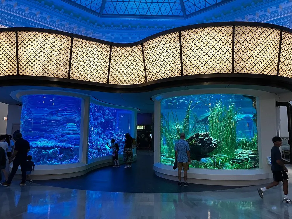 Shedd Aquarium Tanks