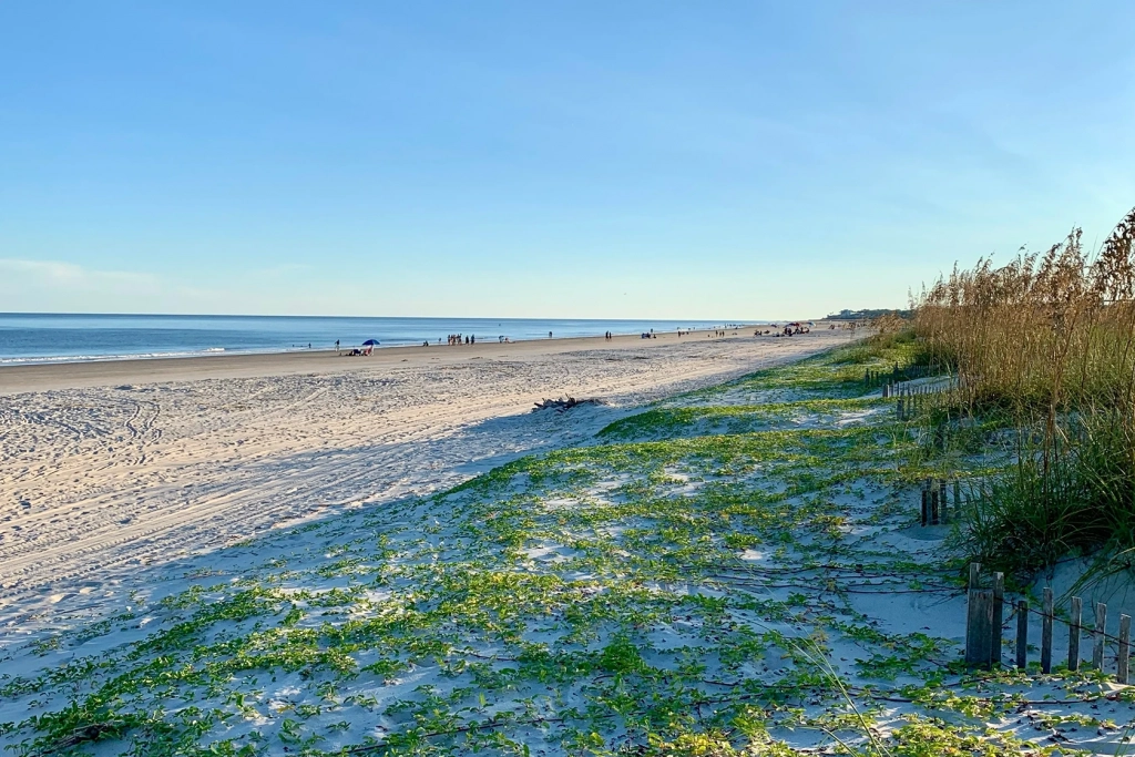 Things to Do in Hilton Head Beach