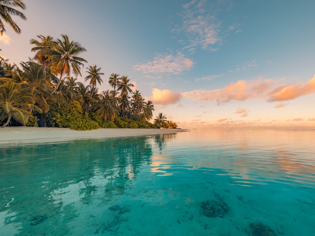 Calm, clear turquoise ocean water gently meeting a tropical white sand beach lined with lush palm trees.