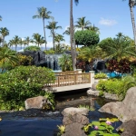Best Timeshare Companies