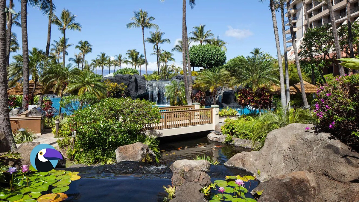 Best Timeshare Companies