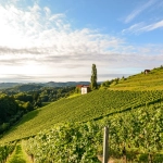 Where to Travel in August