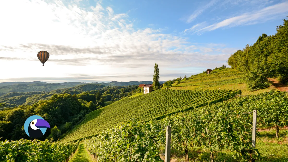 Where to Travel in August